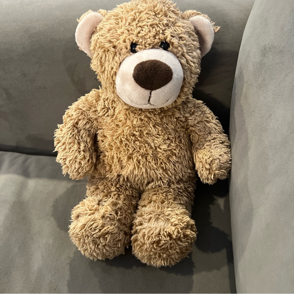Build A Bear Happy Hugs Teddy - Brown